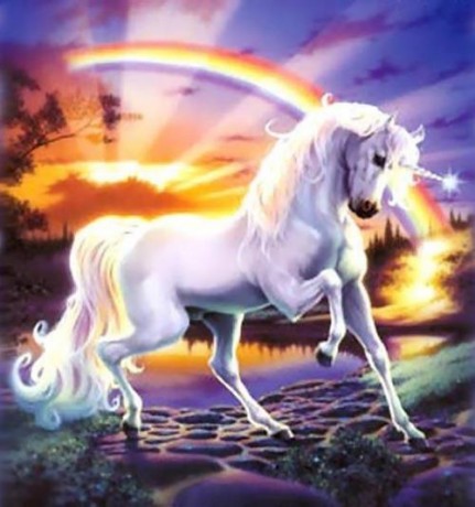 uni-steve_read-rainbow